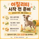 루이&DOGS | 강아지 어질리티 시작 전 준비해야 할 생활 관리, 루이에게 필요했던 것들