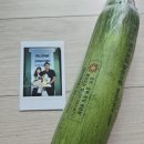 스타트유통 | 농부도 공부가 필요했습니다🌱코엑스 2026 농식품 테크 스타트업 창업박람회 후기