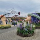 곡성-202 이미지