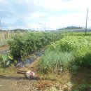 춘포면-14 이미지