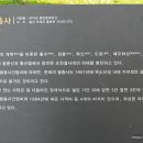 충화 팔충사 티스토리
