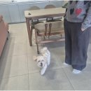 더블루네스 이미지