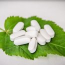 강남조은약국 이미지