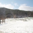 보원목장 이미지