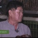 자연인 이미지