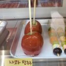 무지개탕후루 이미지
