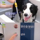 드림목욕탕 이미지