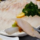 도시애바다 | 내가 직접 먹어본 대전 TOP7 회집 후기 회러버 모여라