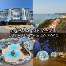 마운틴마트 LC타워점 | 아일랜드 리솜 S20 타워 콘도 오션뷰 객실 배정 팁, 오아식스 스파, 부대시설