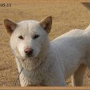 보화1로1 이미지