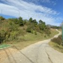 진산골프연습장 이미지