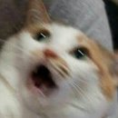 오프서울
