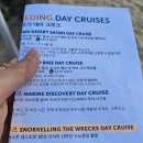 청바지투어 | [호주] 브리즈번 탕갈루마 섬 투어 후기(8월 난파선 스노쿨링, 돌고래피딩)