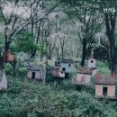 반석노인건강센터 이미지