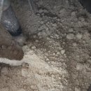 은하수농장 이미지