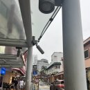 NUS 교환학생 🇸🇬 | Exchange buddy 버디 프로그램 후기