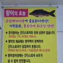 초읍동-10 | 부산 초읍동횟집 제대로 된 향어회와 향어탕 맛집 추천 [철계점]