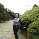 숲쟁이꽃동산 이미지