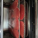 홍두깨유통 | 홍두깨살 수제 육포 만들기! 식품건조기 60도 1시간 30분 후기, 남은 고기로 육전까지