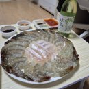 홍도로 | 강동 이한진숙성회 광어회와 노량진 홍도상회 생새우 내돈내산 포장후기