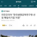 인셀덤 구미 뷰티 대리점