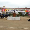 제22차 영순초등학교 총동창회 체육대회 개최 이미지