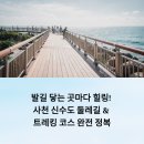 신수도 대구동 | 발길 닿는 곳마다 힐링! 사천 신수도 둘레길 &amp; 트레킹 코스 완전 정복