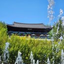 죽녹원게임랜드 | [전남 담양] 지금 가기 딱 좋은 담양 대나무 숲 죽녹원 - 주차장 위치, 울창한 대나무숲, 죽초액 족욕장...