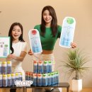 이그니스 이미지