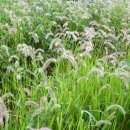 강변공원주차장 이미지