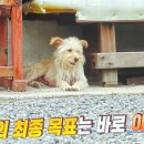 춘이농장 네이버블로그