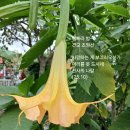 빰빠라