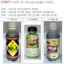 신비너스 | 23년 사카다 고추종자 팜플렛