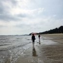 암태초등학교 이미지