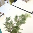 용오름농촌체험휴양마을 이미지