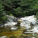 덕구온천콘도 이미지