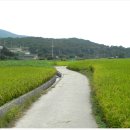 대암마을회관 이미지