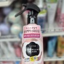 카멜리아 이미지