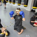 [옥정]파이썬(Python) 초보에서 프로되기 | 양주복싱장 펀치플러스 복싱 양주옥정점 소개글