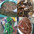 소망자원 이미지