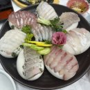 당진 대덕동 맛집 “시아호횟집” 스끼다시 다양한 횟집추천