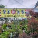 청운꽃농원 - 동구 팔공로 75 | 청운꽃농원
