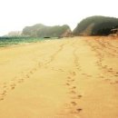 맹방관광지 이미지