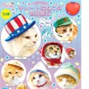 고양이 모자 이미지