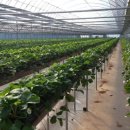 부부농장 이미지