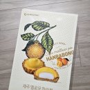 멜로우 | 제주도 기념품 제주멜로우한라봉 솔직후기