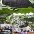 늘봄농장 | 광주 근교 아이랑 가볼만한 곳 전남 함평 바나나생태나라 피자만들기, 낚시놀이 실내 체험 가성비 추천