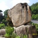 대자연횟집 - 군산시 미장서로 102 | 대자연횟집