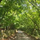 한일회관 이미지