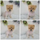 우아한개 이미지